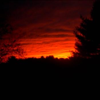 Sunset in front yard