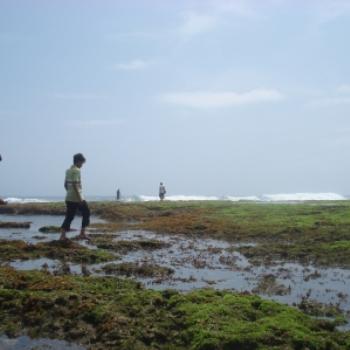 <b>Cipatujah Bay, Tasikmalaya, Indonesia</b>