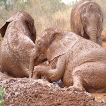 <b>Bath time at the orphanage, Nairobi, Kenya</b>