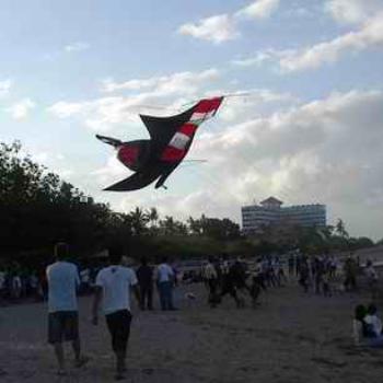 <b>bringing in the kite, Bali Lori/Adel</b>