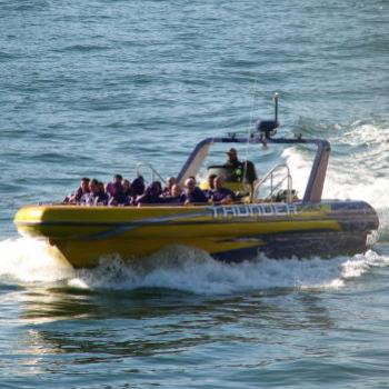 <b>7377 Sydney Harbour Thunder cruises Kate/Sydney</b>