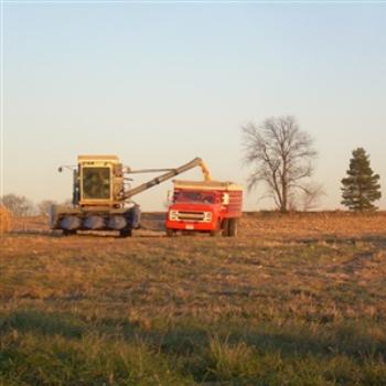 <b>Northern Illinois corn farming. November, 2008</b>