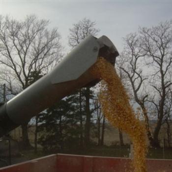 <b>You may see corn spiraling from a combine's mechanized auger, but I see Northern Illinois Gold. November, 2008</b>