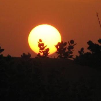 Sunrise over the sandunes India