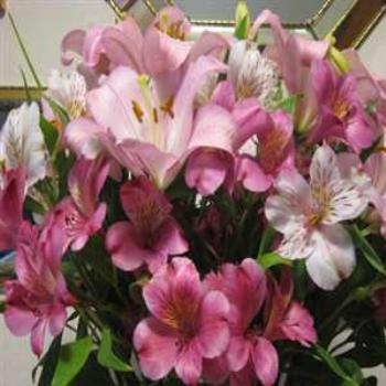 <b>Flowers from a friend - vici ca</b>