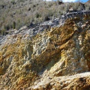 Sulphur rich soil in Queenstown, Tasmania. (June)