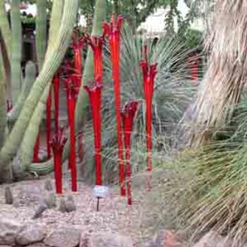 <b>The Wonder of Glass, Chihuly Exhibit, Phoenix</b>