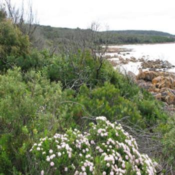 <b>Dunsborough, Western Australia</b>