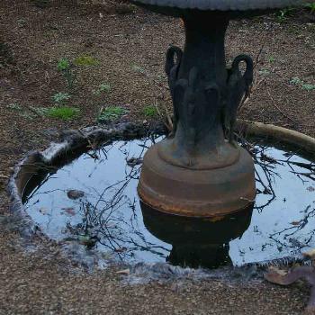 Burnt water fountain Marysville area