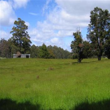 Tasmanian landscape - Wendy/Perth