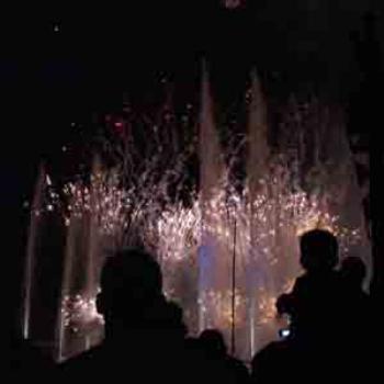 <b>Fireworks at Seaworld/Izzie, Fl</b>