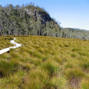 <b>Boardwalk, Cradle Mountain, Tasmania - Wendy/Perth</b>