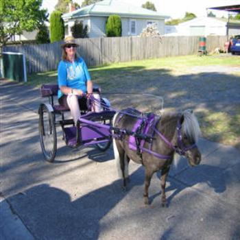 <b>Devonport, Tasmania, - Wendy/Perth</b>