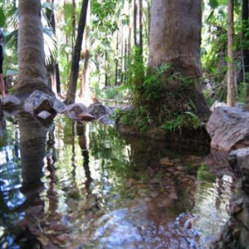 Zebedee Springs, El Questro, W.A., Wendy/Perth