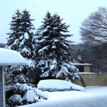 <b>Pennsylvania Snow Feb 2010</b>