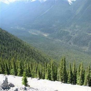 <b>Sulphur Mountain, Rockies, Canada, Wendy/Perth</b>