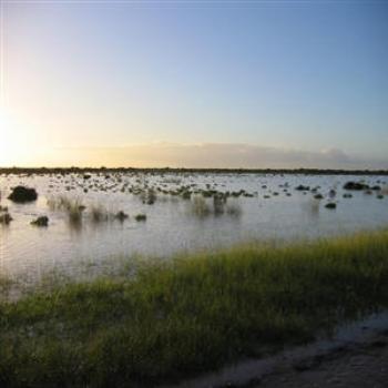 Floods, near Carnarvon, W.A. (Wendy/Perth)