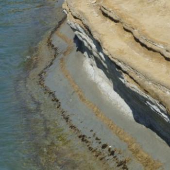 Layers in the rock, Sirdai, Corfu - Eileen (Surrey, England)