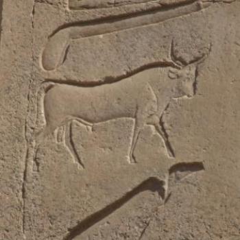 <b>Hieroglyphs on an obelisk, Egypt, - Eileen (Surrey, England)</b>