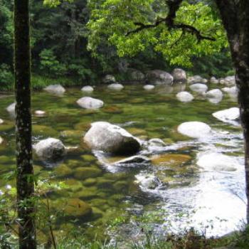 Mossman Gorge, Cairns, Qld - Wendy/Perth