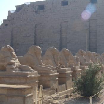 Avenue of the Sphinx, Karnak, Egypt - Eileen (Surrey, England)