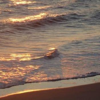 Sunrise on the waves, Ormond Beach, Florida - Eileen (Surrey, England)