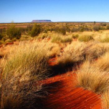 Mt Connor, Central Oz, N.T.  Wendy/Perth