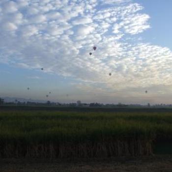 <b>Hot air balloons, Luxor, Egypt - Eileen (Surrey, England)</b>