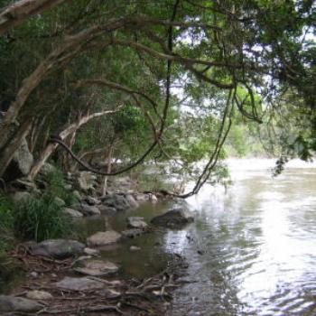 Barron River, Cairns, Qld - Wendy/Perth