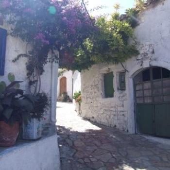 <b>Street scene, Corfu - Eileen (Surrey, England)</b>