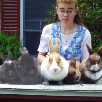 <b>Our daughter, Lydia, with her five pet rabbits</b>