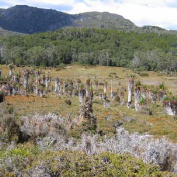 <b>Cradle Mountain, Tasmania - Wendy/Perth</b>