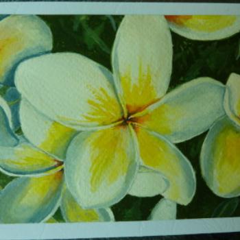 <b>Close up of one of my greeting card water colour paintings - Wendy/Perth</b>