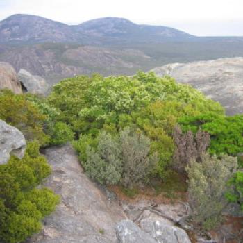 Frenchman's Peak, near Esperance, W.A.  Wendy/Perth