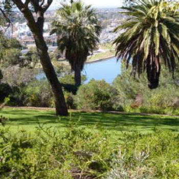 Swan River from King's Park - Wendy/Perth