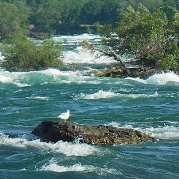 river that feeds Niagara Falls