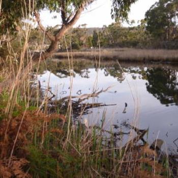 River, Adventure Bay, Bruny Island, Tasmania. Wendy/Perth