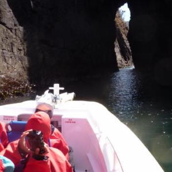 <b>Bruny Island Caves, Tasmania. Wendy/Perth</b>