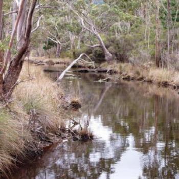 River at Cockle Creek Southport, Tasmania