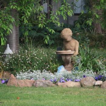 <b>5710 sitting by the pond, Lake Albert, Wagga Wagga, Oct'09 Kate/Sydney</b>