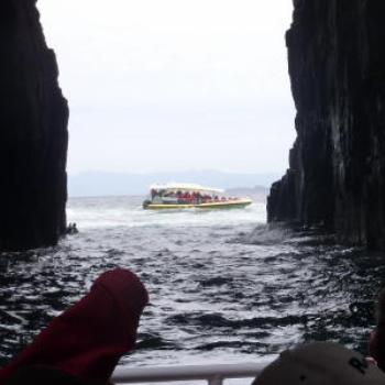 <b>Bruny Island cliffs, Tasmania. Wendy/Perth</b>