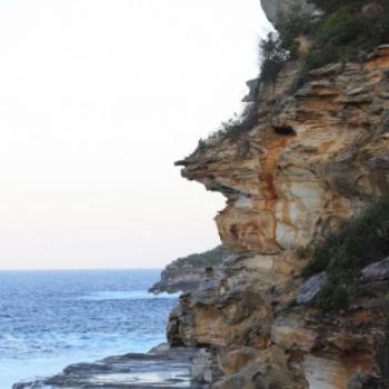 <b>9443 cliff face 2, Blue Fish Pt, Manly, Sydney, 4th Apr'09, Kate/Sydney</b>