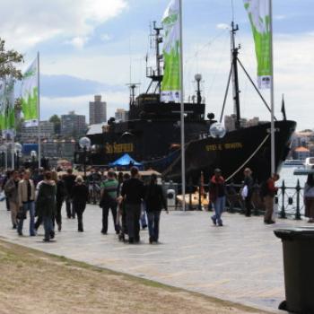 <b>2328 Sea Shepherd, Steve Irwin, Circular Quay, Island Hopping,11th Oct09, Kate/Sydney</b>