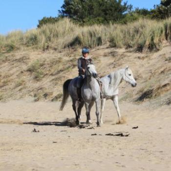 <b>6324 exercising the horses, Apollo Bay, GORd, Victoria, 26th Oct'09 Kate/Sydney</b>