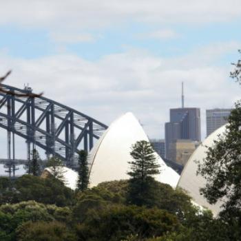 <b>2071 2 icons beyond the trees, Sydney Botanic Gardens, Oct'09, Kate/Sydney </b>