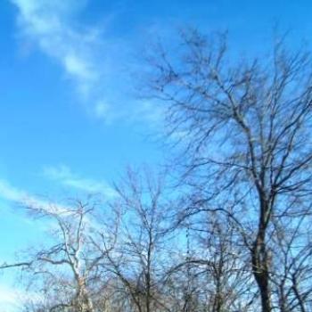 Blue skys & contrails in Oklahoma    Sue/OK