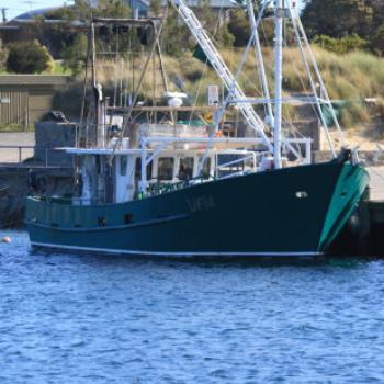 6351  green boat, Apollo Bay, GORd, Victoria, 26th Oct'09 Kate/Sydney