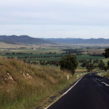 1506  Jerrys Plains, Hunter Valley, NSW, 29th April'09, Kate/Sydney