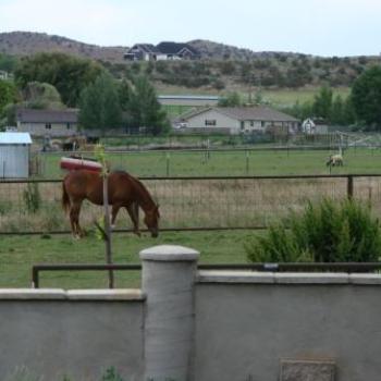 <b>Backyard Pastures by Wilodene from Utah</b>