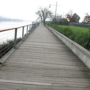 Winter's morning in Royal Park, Launceston, Tasmania